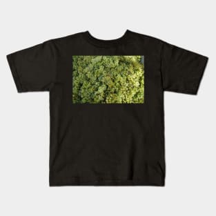 Riesling Grapes at Magpie Springs by Avril Thomas Kids T-Shirt